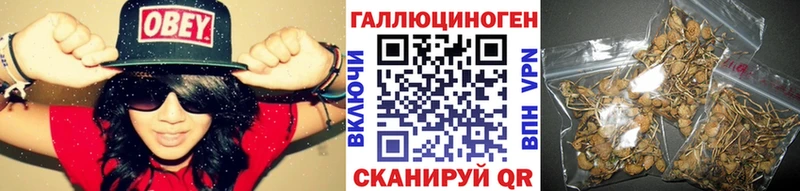 Псилоцибиновые грибы MAGIC MUSHROOMS  Купить закладки  Невьянск 